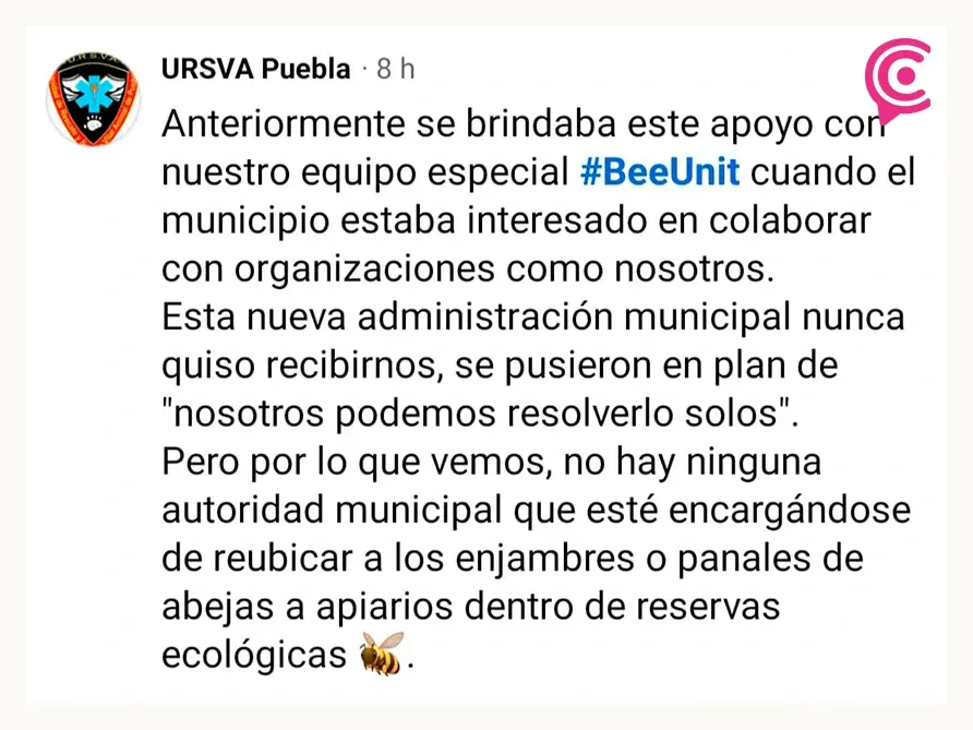 Reportan ataque de abejas a visitantes del Panteón Municipal de Puebla durante Día de Muertos