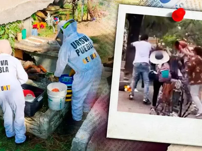 Reportan ataque de abejas a visitantes del Panteón Municipal de Puebla durante Día de Muertos