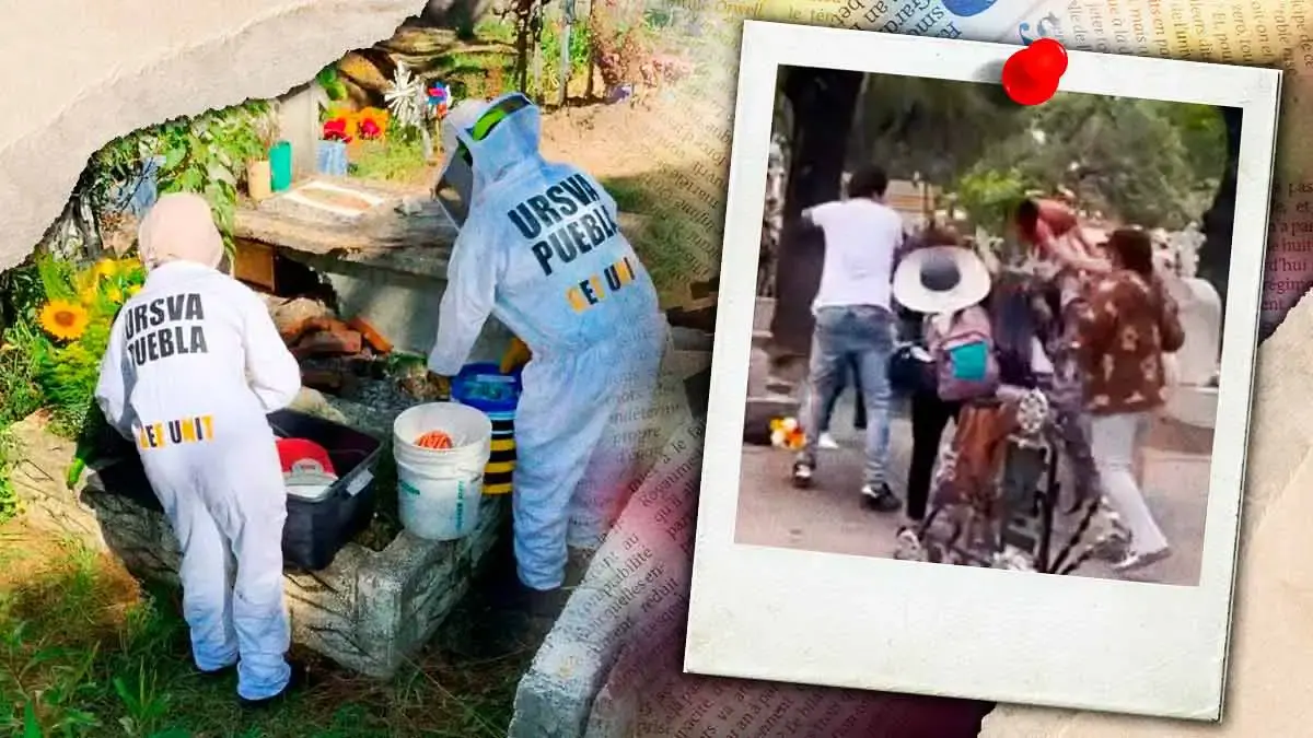 Reportan ataque de abejas a visitantes del Panteón Municipal de Puebla durante Día de Muertos