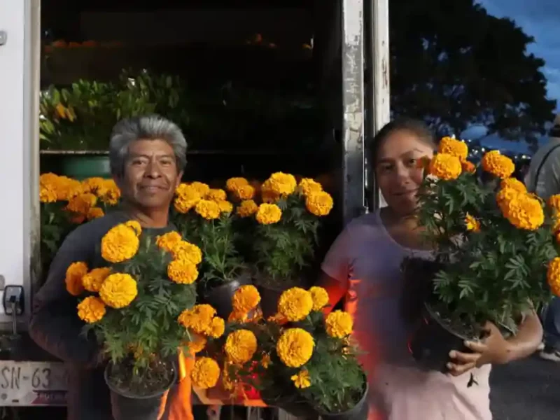 Ariadna Ayala promueve la economía local con la venta de flor de temporada en Atlixco