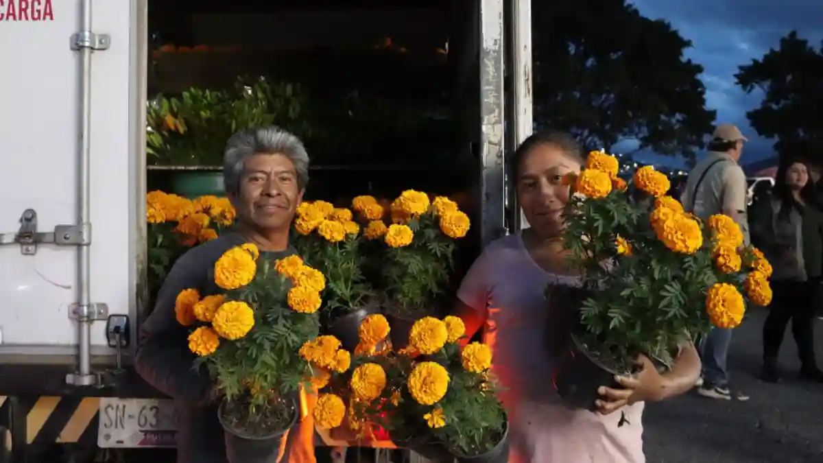 Ariadna Ayala promueve la economía local con la venta de flor de temporada en Atlixco