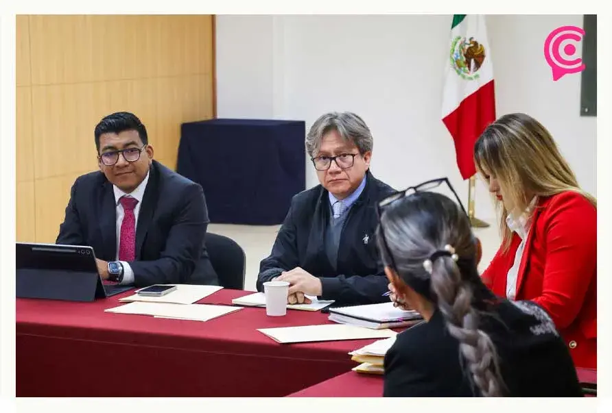 Poder Judicial de Puebla y activistas trazan ruta legal por el bienestar animal 