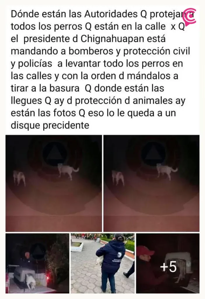 Acusan a autoridades municipales de Chignahuapan de capturar injustificadamente a perros en situación de calle