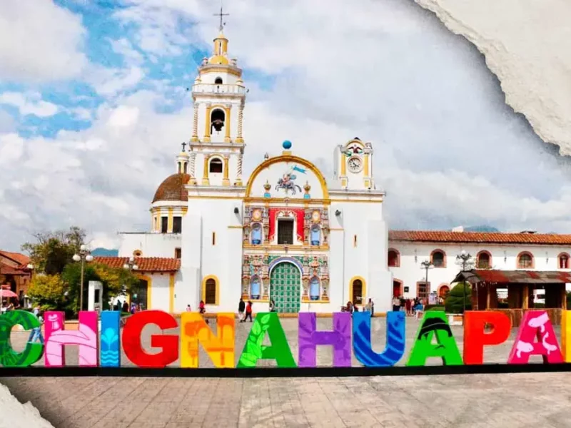 Ayuntamiento de Chignahuapan negó “levantón” de perros; activistas aseguran que aún hay cuatro desaparecidos