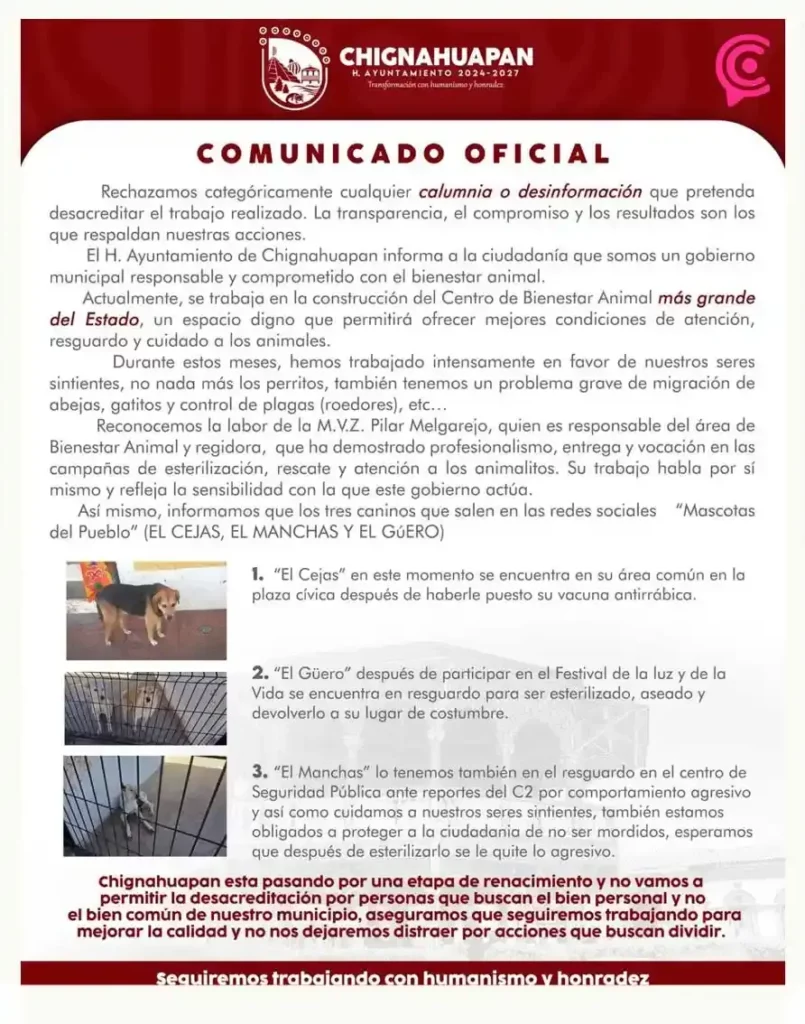 Ayuntamiento de Chignahuapan negó “levantón” de perros; activistas aseguran que aún hay cuatro desaparecidos
