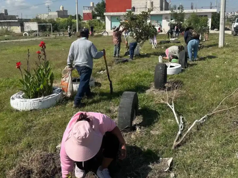 Fortalece Gobierno de la Ciudad acciones de reforestación con 2 mil 600 árboles gracias a Raíces del Futuro en el mes de octubre