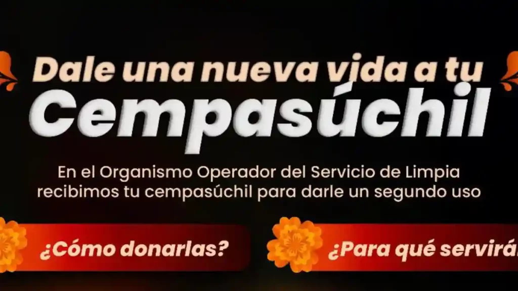 Abre Gobierno de la Ciudad centro de acopio para aprovechamiento de flor de cempasúchil