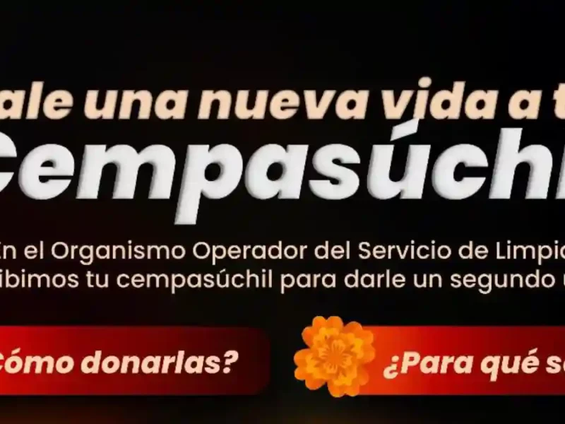 Abre Gobierno de la Ciudad centro de acopio para aprovechamiento de flor de cempasúchil