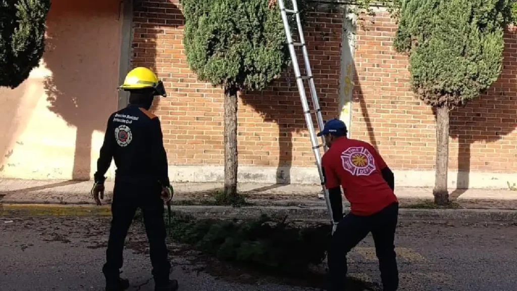 Gobierno de San Pedro Cholula responde ante afectaciones por el Frente Frío No. 13