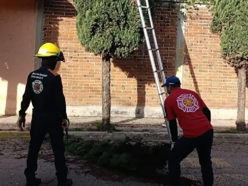 Gobierno de San Pedro Cholula responde ante afectaciones por el Frente Frío No. 13