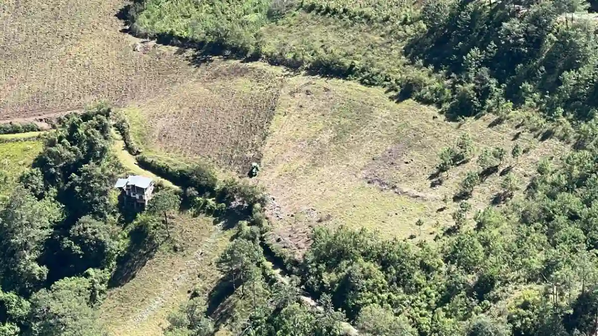 Gobierno de Zacatlán impulsa la mecanización del cultivo de Chile Serrano