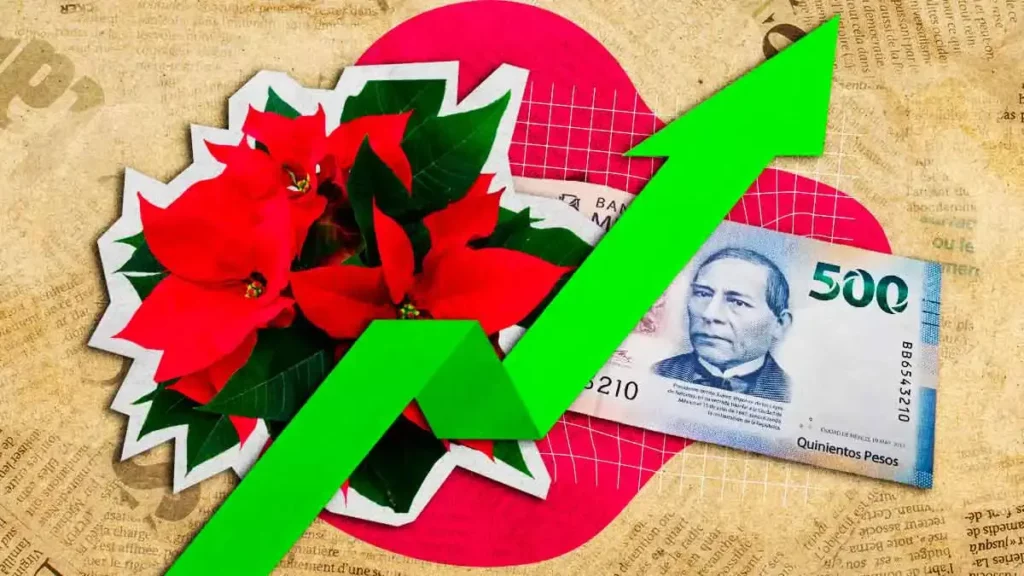 Precio de las Nochebuenas se dispara hasta 500 pesos en Puebla este 2025
