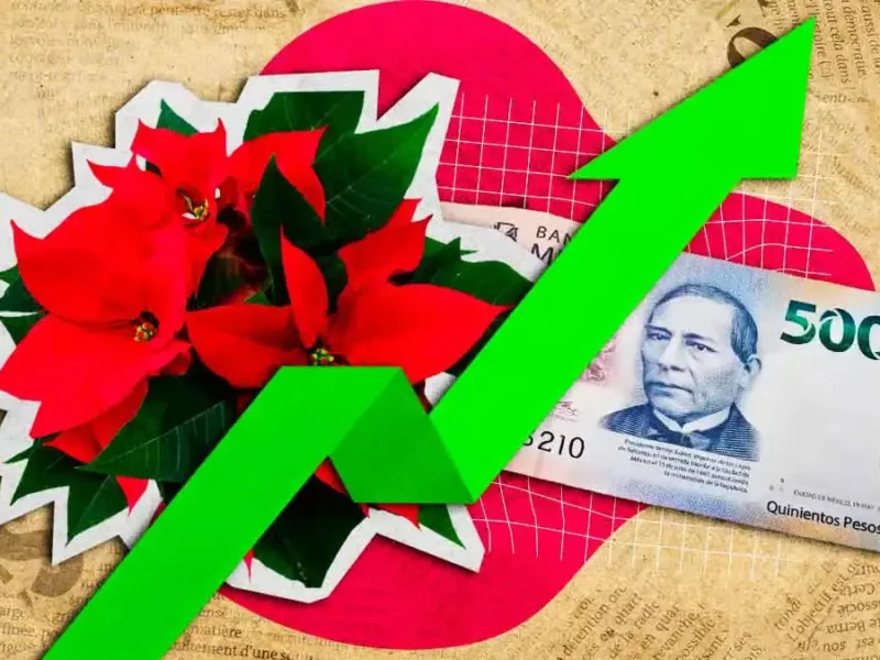 Precio de las Nochebuenas se dispara hasta 500 pesos en Puebla este 2025