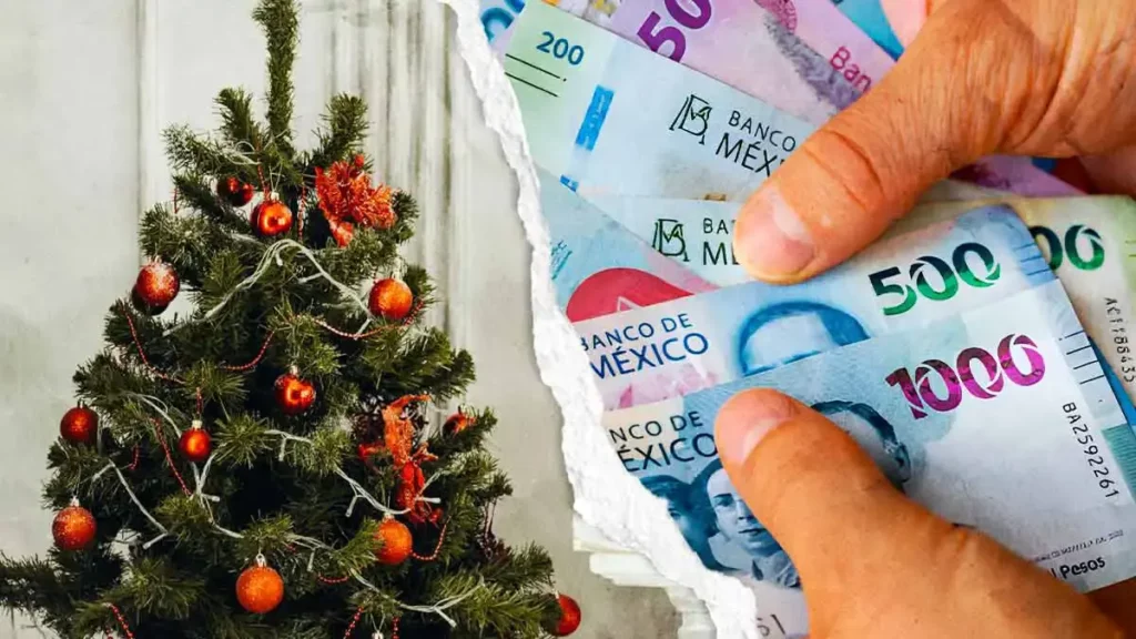 Precios de árboles, esferas y luces en la temporada navideña del Cenhch