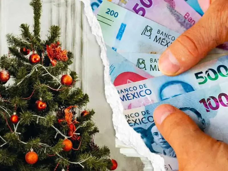 Precios de árboles, esferas y luces en la temporada navideña del Cenhch