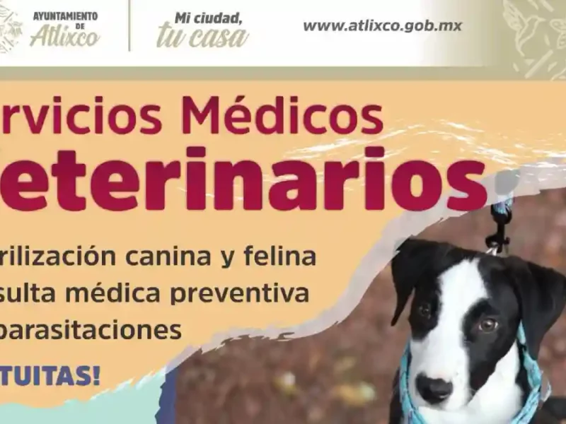 Ariadna Ayala impulsa jornadas veterinarias gratuitas para fomentar el bienestar animal 