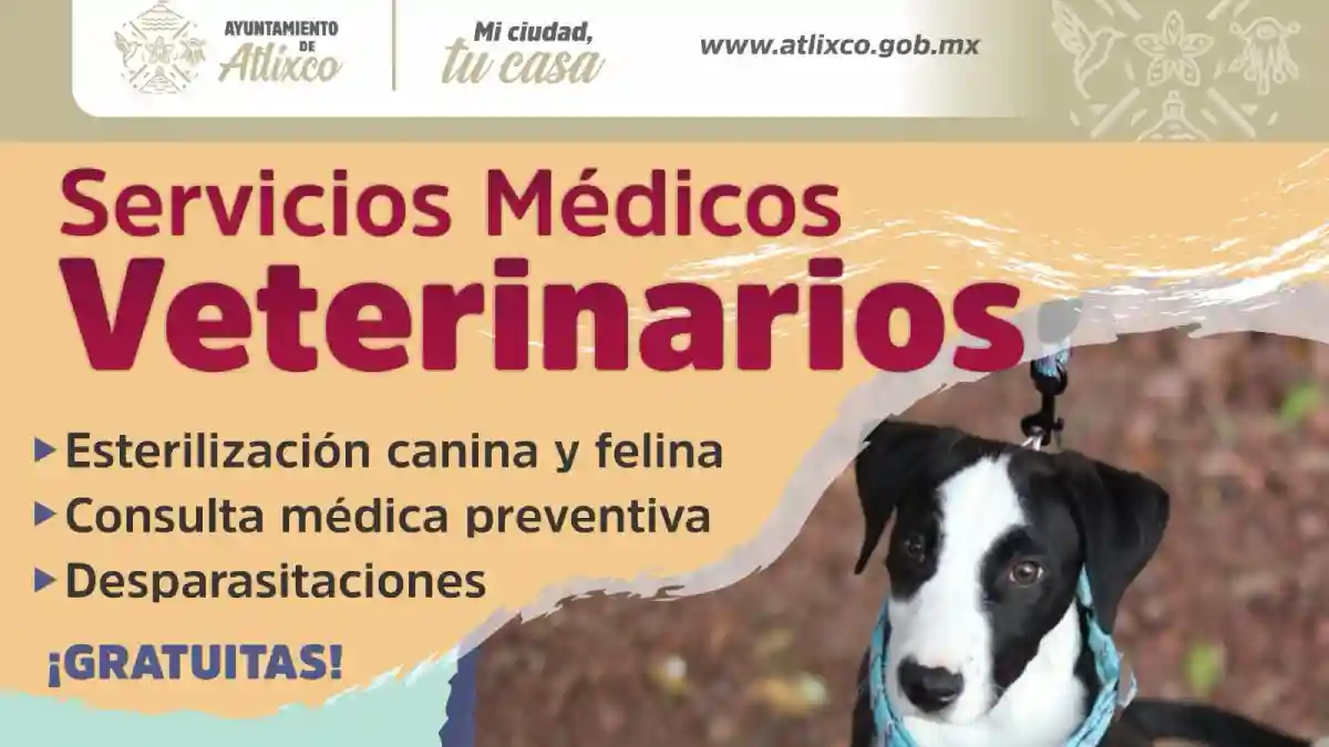 Ariadna Ayala impulsa jornadas veterinarias gratuitas para fomentar el bienestar animal 