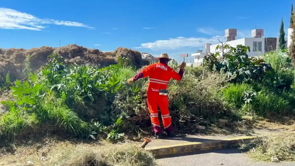 OOSL refuerza limpieza con jornada integral de chapeo y barrido en colonia Santa Margarita