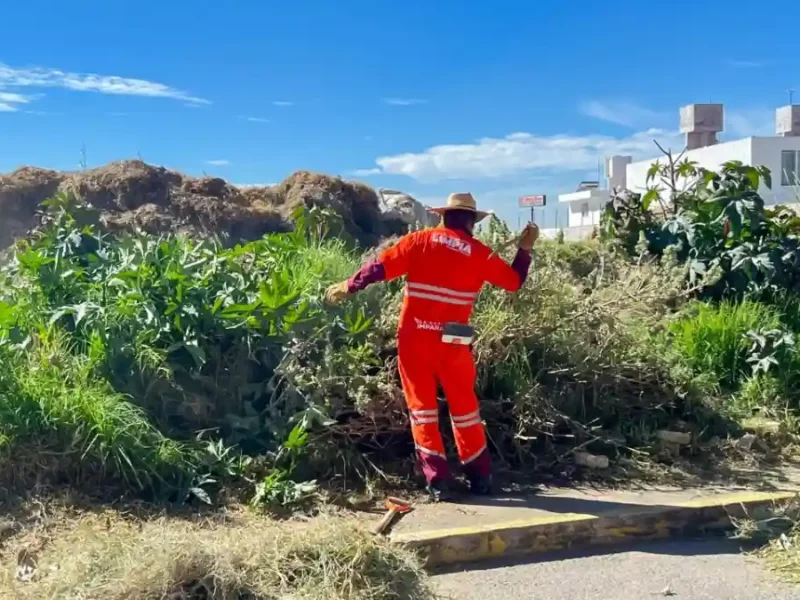 OOSL refuerza limpieza con jornada integral de chapeo y barrido en colonia Santa Margarita