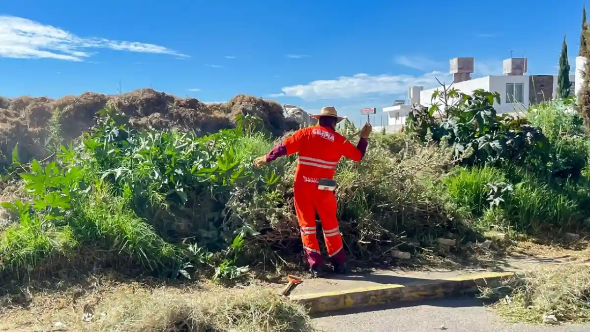OOSL refuerza limpieza con jornada integral de chapeo y barrido en colonia Santa Margarita