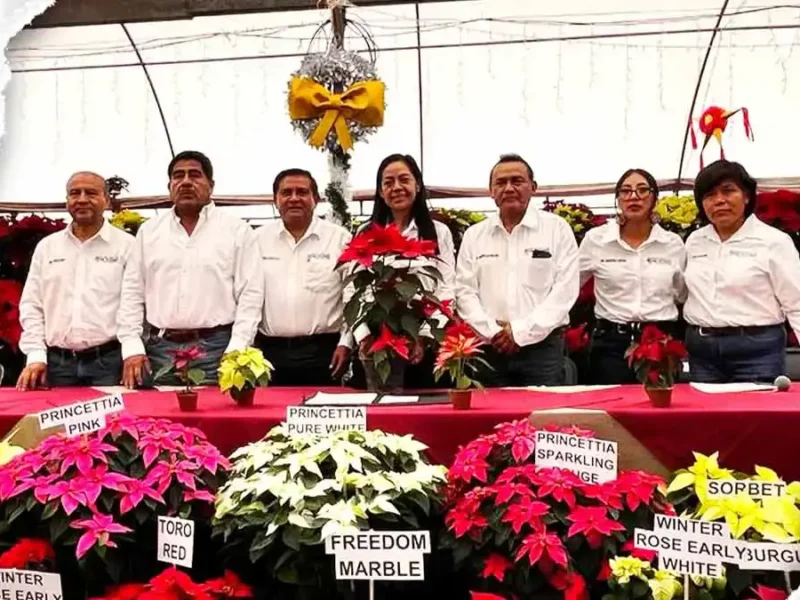 Festival de la Nochebuena Atlixco 2025 ofrecerá a la venta más de dos millones de plantas