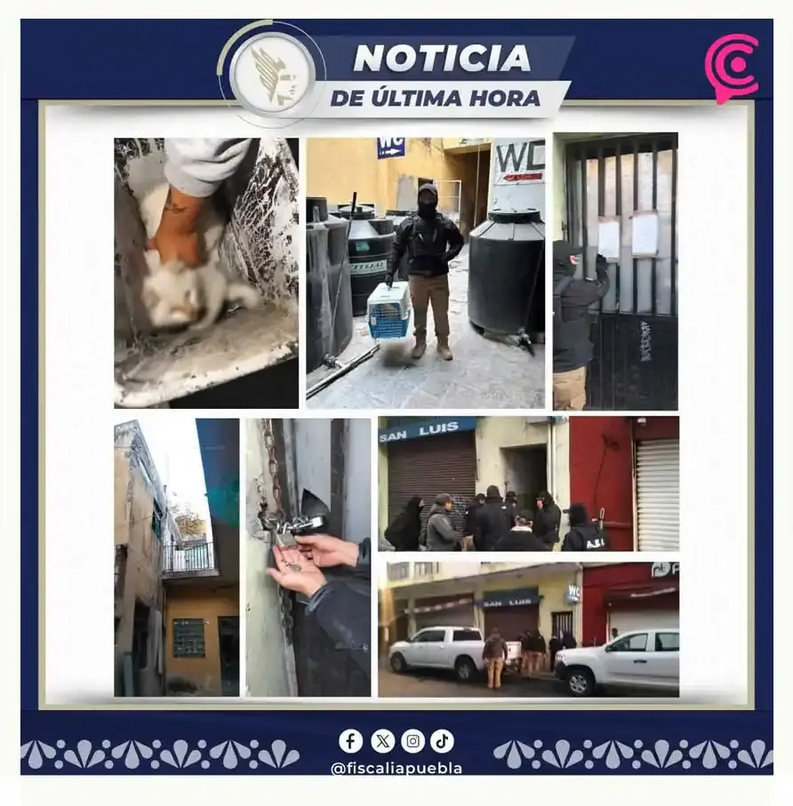 Fiscalía de Puebla realiza primer cateo en casona del centro tras denuncia por maltrato animal