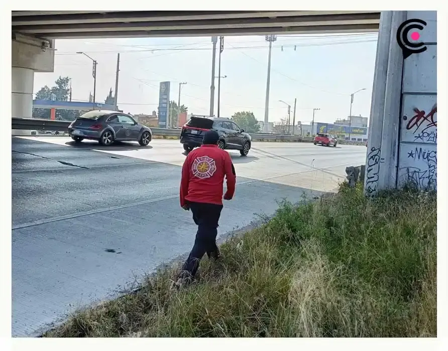 Hombre se quita la vida arrojándose del puente de Camino Real a Momoxpan en Puebla