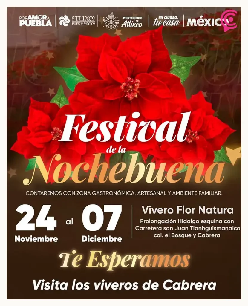 Descubre las mejores experiencias navideñas este 2025 en Puebla