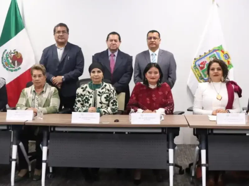 Presentan en Comisión del Congreso Informe Preliminar de la Auditoría Financiera y de Desempeño de la ASE