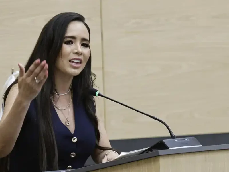 Presenta diputada Graciela Palomares exhorto para fortalecer vigilancia y protección del consumidor en temporada decembrina