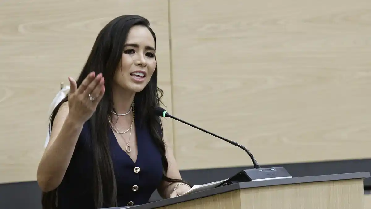 Presenta diputada Graciela Palomares exhorto para fortalecer vigilancia y protección del consumidor en temporada decembrina