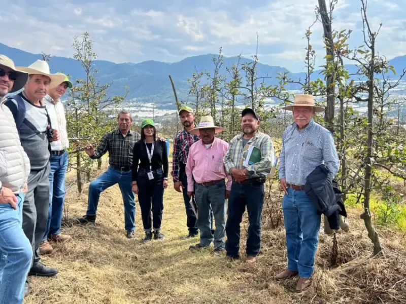 Productores de manzana de Zacatlán, fortalecen sus conocimientos en Aquixtla