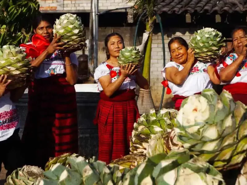 Crece presencia de las mujeres en el sector mezcalero poblano; 30% es liderado por productoras