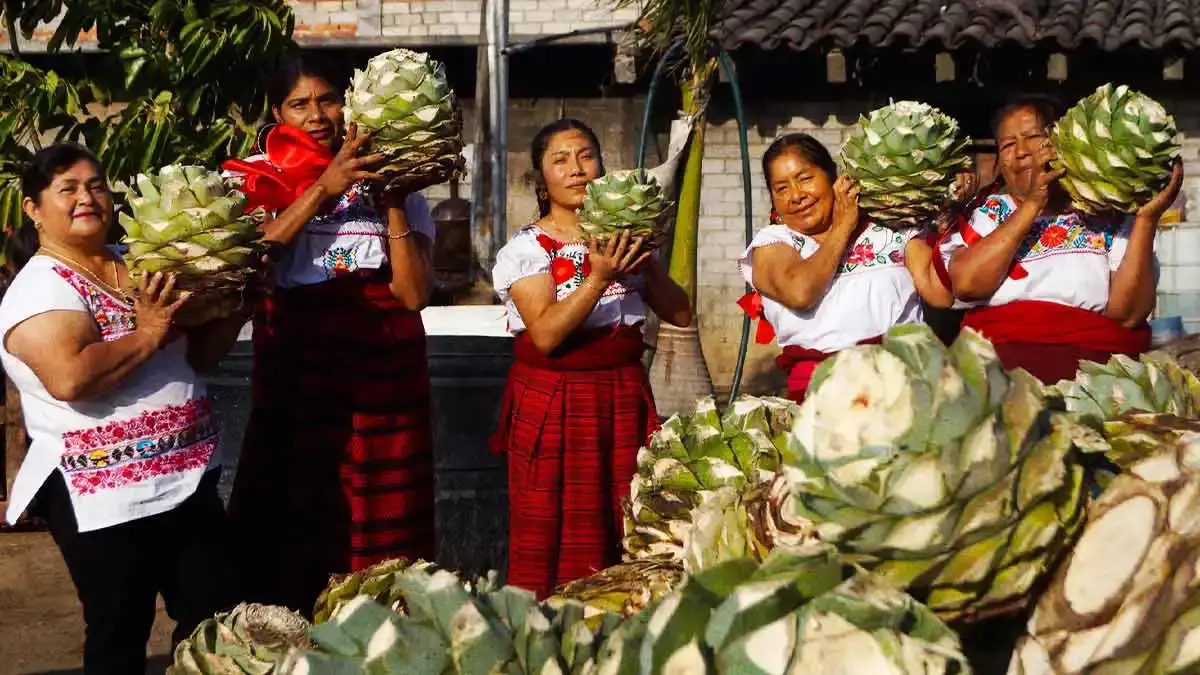 Crece presencia de las mujeres en el sector mezcalero poblano; 30% es liderado por productoras
