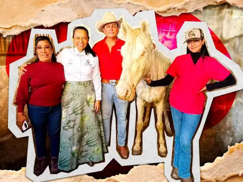 Cuacolandia y Ayuntamiento de Atlixco rescatan a un caballo víctima de maltrato animal