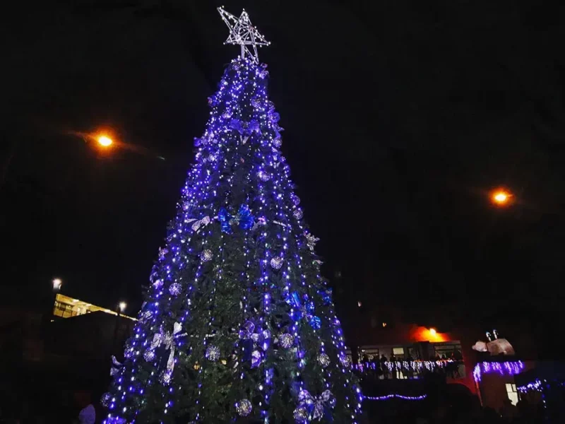 Edwin Luna y La Trakalosa de Monterrey iluminarán el árbol navideño en San Pedro Cholula