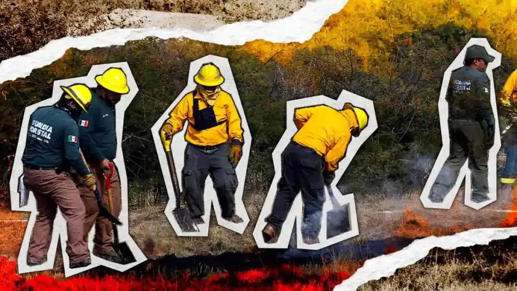 Más de 3 mil incendios forestales se registraron durante 2025 en Puebla