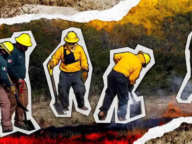 Más de 3 mil incendios forestales se registraron durante 2025 en Puebla