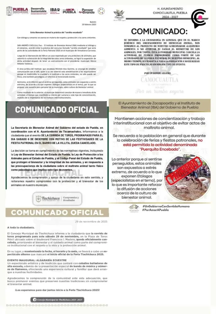 Instituto de Bienestar Animal de Puebla canceló cinco eventos que promovían la crueldad animal
