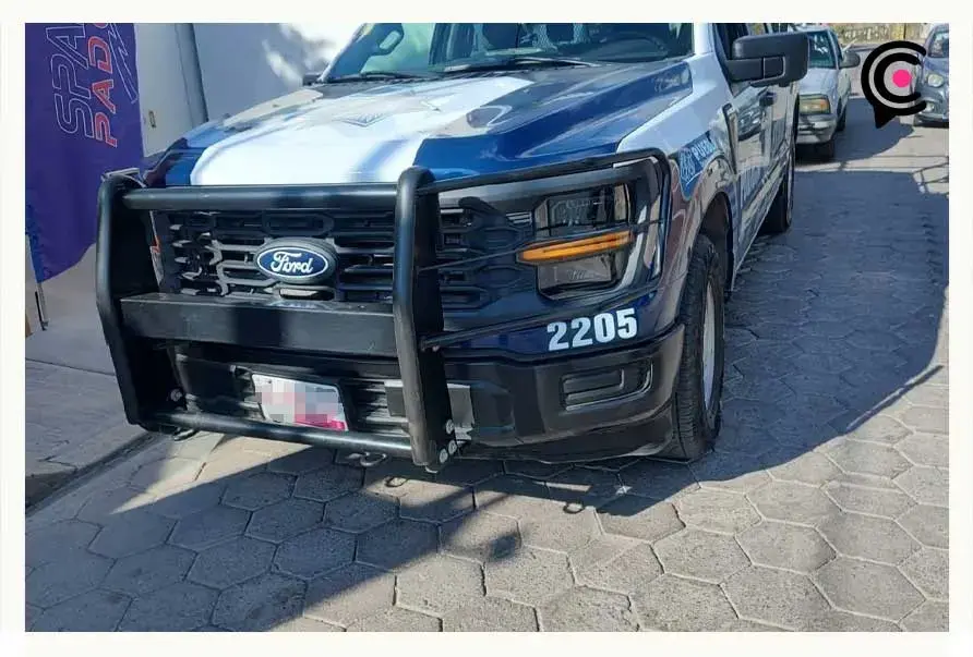 Policía Estatal atropella a perrita bulldog en Puebla; uniformado escapa del lugar