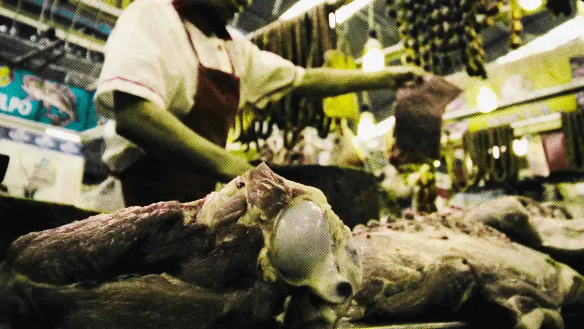 Detectan rastros clandestinos en zona metropolitana de Puebla; carne sin certificación se consume en la capital
