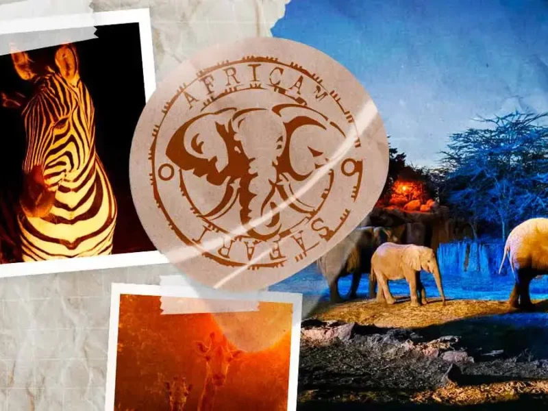 Africam Safari presenta “Moon Safari” 2025, experiencia nocturna con fauna salvaje