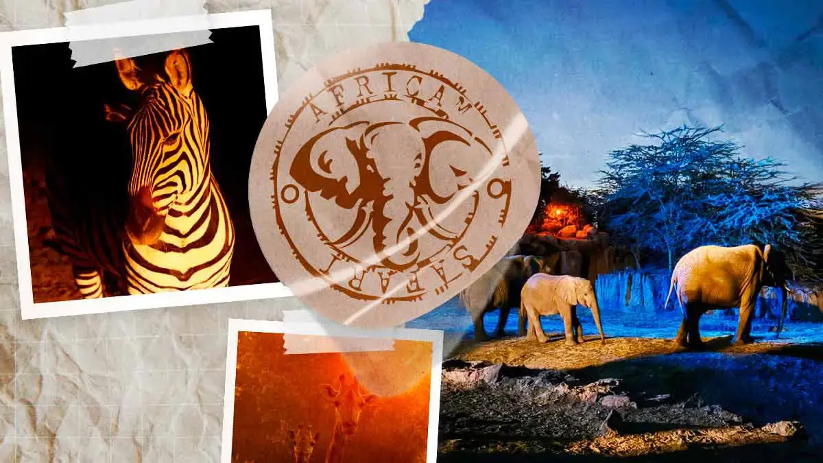 Africam Safari presenta “Moon Safari” 2025, experiencia nocturna con fauna salvaje
