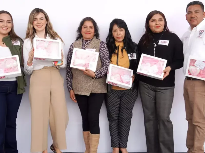 Recibe DIF de Texmelucan apoyos para beneficio de los grupos vulnerables por parte de SEDIF