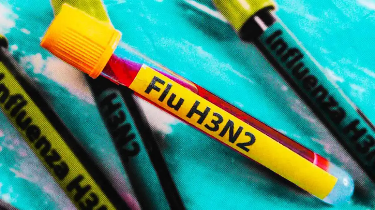 Gripe H3N2 desencadena afecciones en senos, oídos y neumonía; avanza en Europa y EE.UU