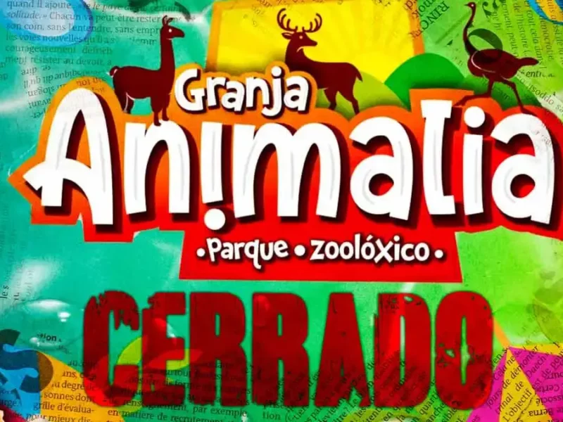 Animalia Parque Zoolóxico cierra tras lluvias intensas en Xicotepec, Puebla; investigación de Segob pendiente