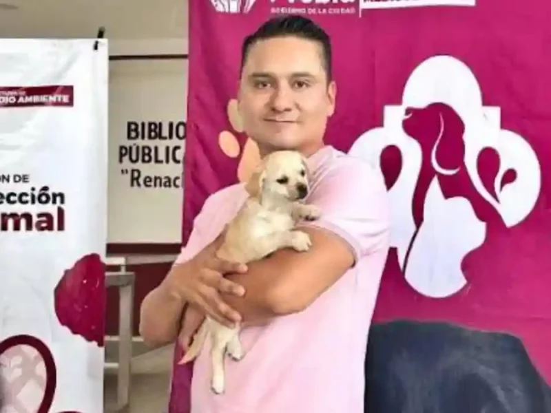 Avanza Gobierno de la Ciudad en materia de bienestar animal