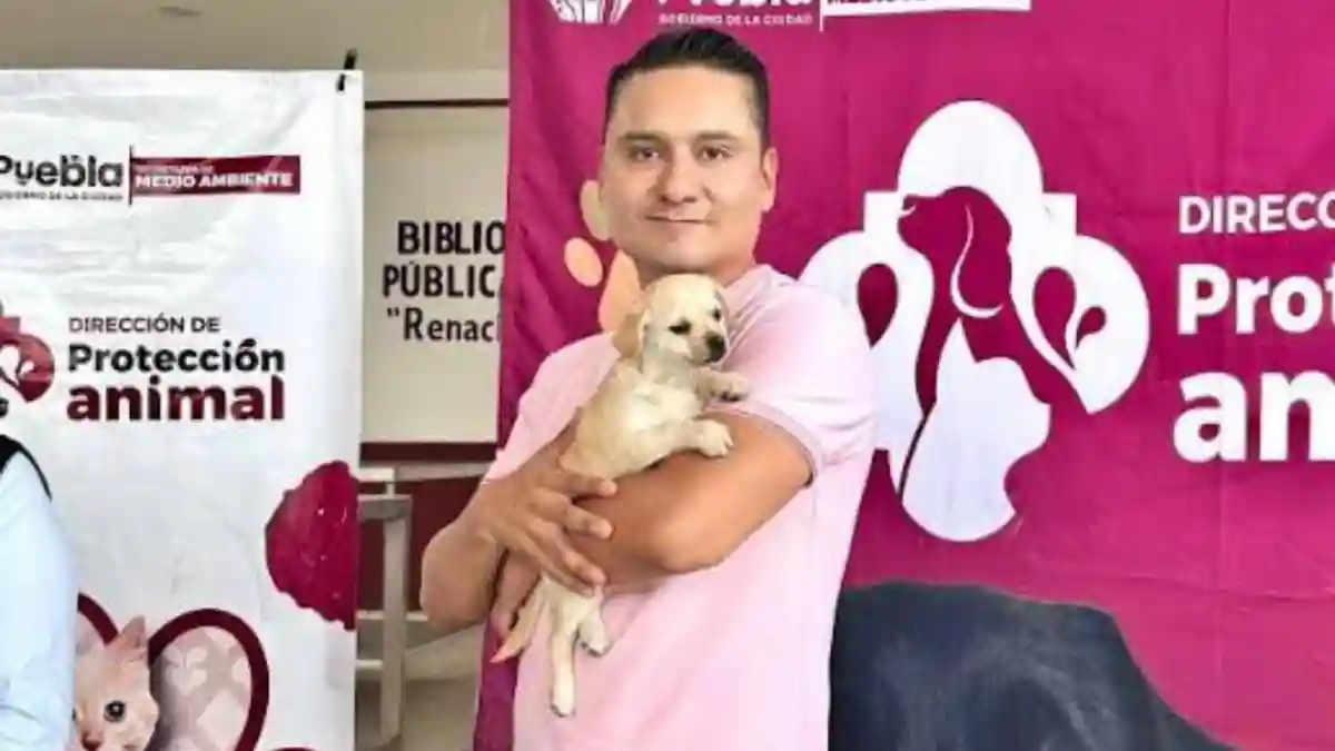Avanza Gobierno de la Ciudad en materia de bienestar animal