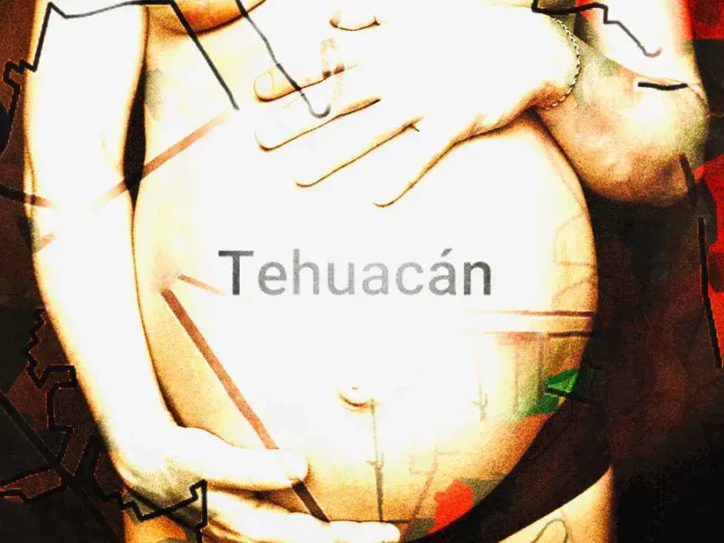 ONGs exigen a CNDH justicia por mujer indígena fallecida tras violencia obstétrica en Tehuacán, Puebla 