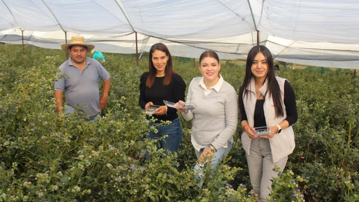 Bety Sánchez impulsa el desarrollo del campo zacateco